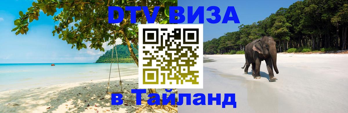 Оформление DTV визы под ключ: стоимость и тарифы, только загранпаспорт - 19.11.2025 